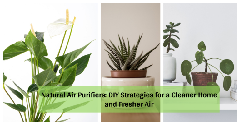 Natural Air Purifiers: DIY Strategies for a Cleaner Home and Fresher Air