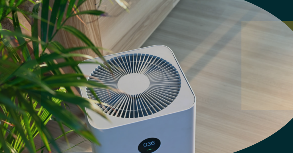 What to Consider When Buying an Air Purifier