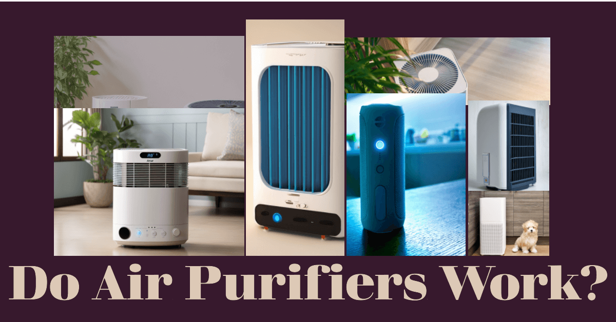 Do Air Purifiers Work