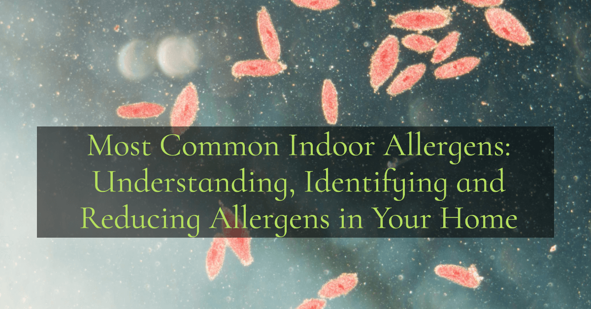 common indoor allergens