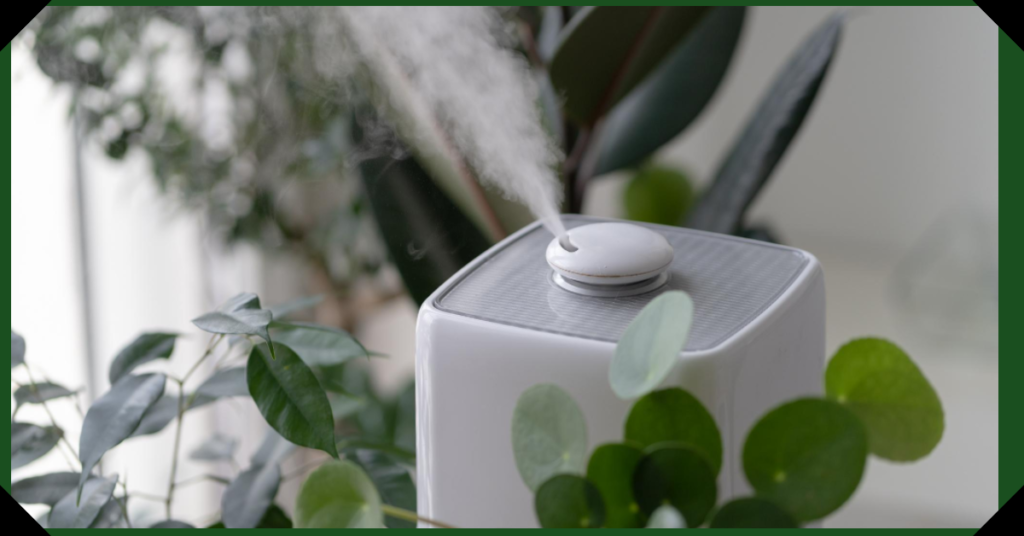 air purifier vs humidifier