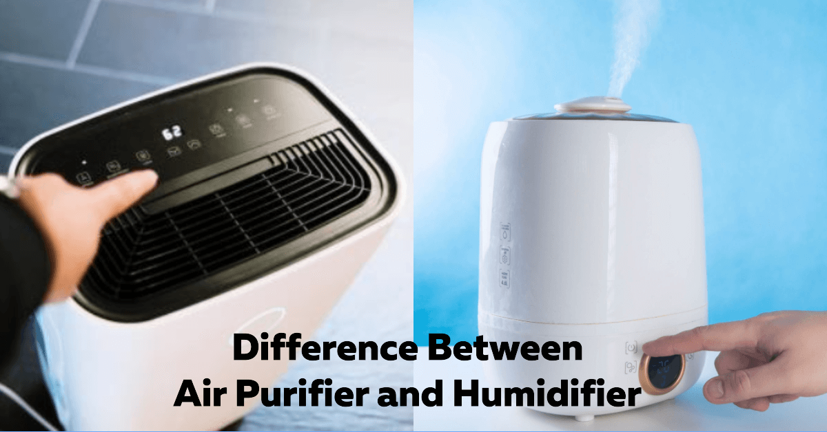 what is the difference between air purifier and humidifier