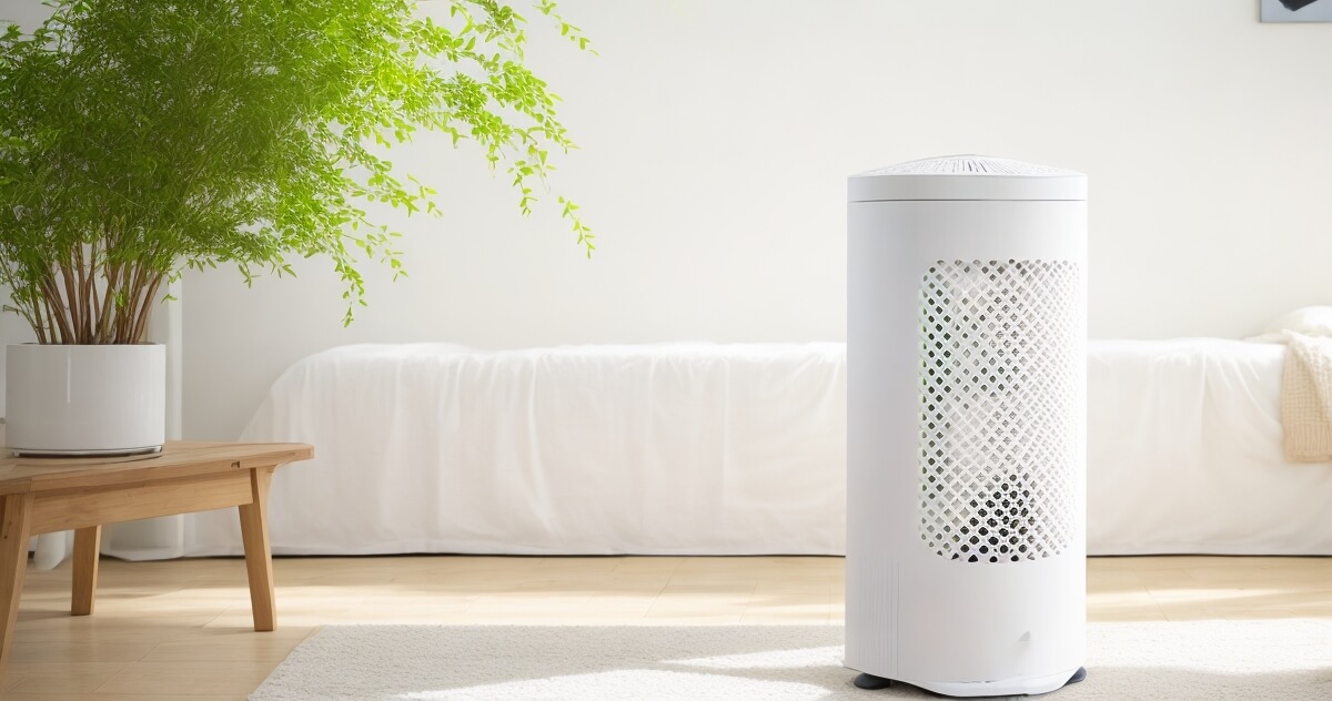 Air Purifier Installation