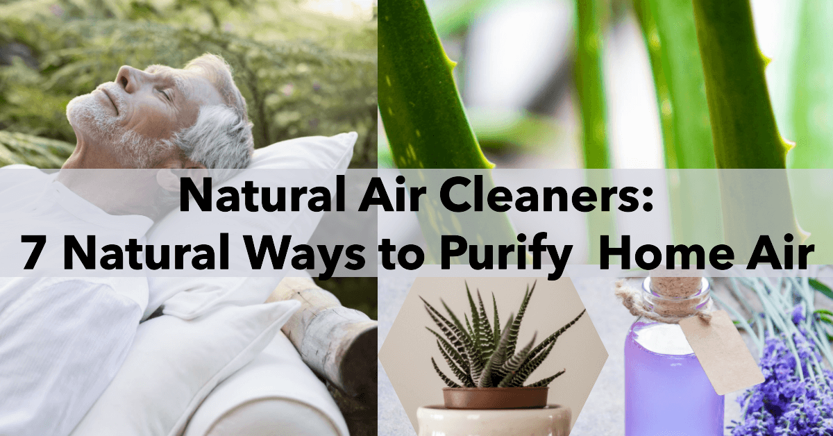 Natural Air Cleaners