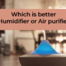 Which is better Humidifier or Air purifier