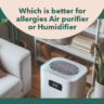 Which is better for allergies air purifier or humidifier