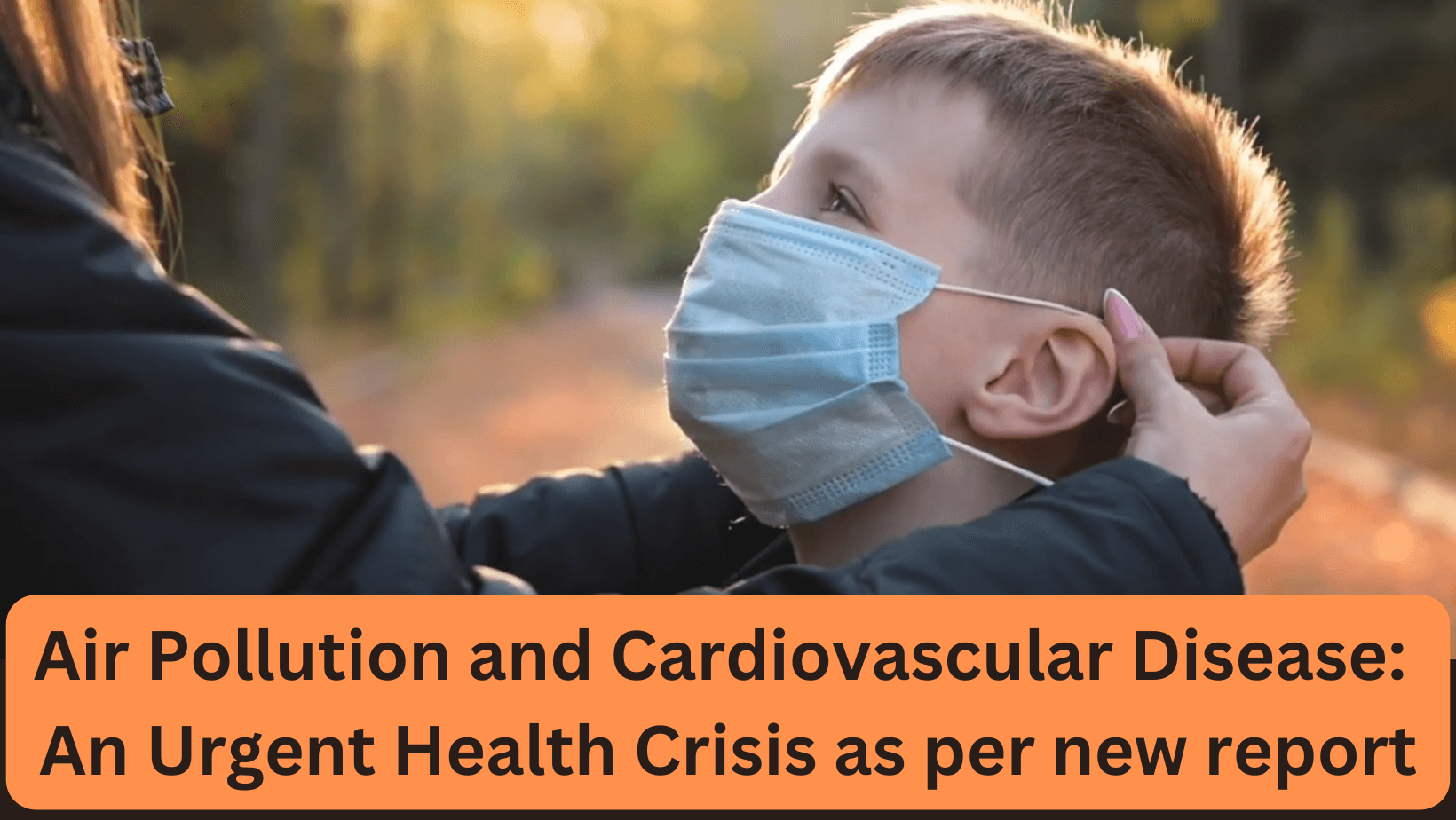 Air Pollution and Cardiovascular Disease