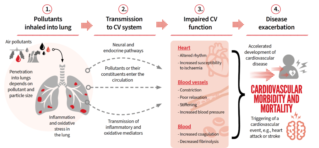 Air Pollution and Cardiovascular Disease