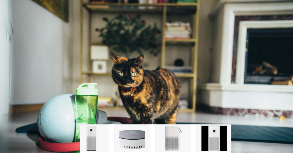 Pet Air Purifier