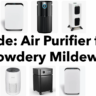 Air Purifier for Powdery Mildew