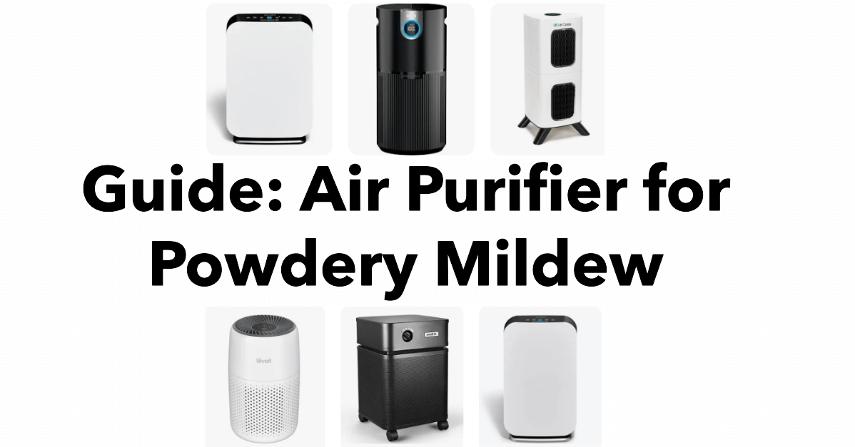 Air Purifier for Powdery Mildew