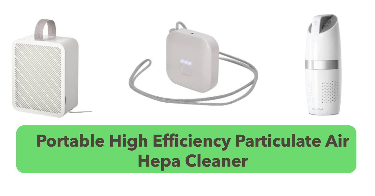 Portable high efficiency particulate air hepa cleaner